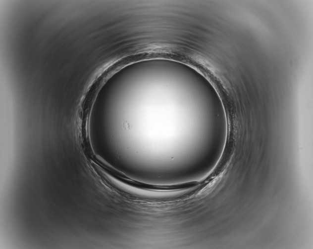 X0000096711066200802051416