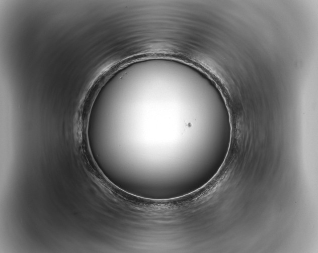 X0000096711067200802051416