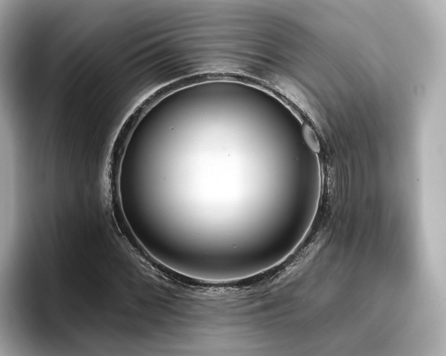 X0000096711068200802051416