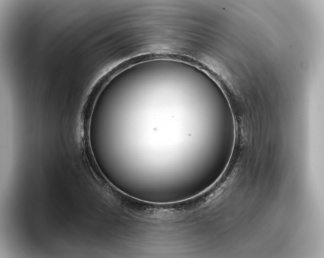 X0000096711070200802051416