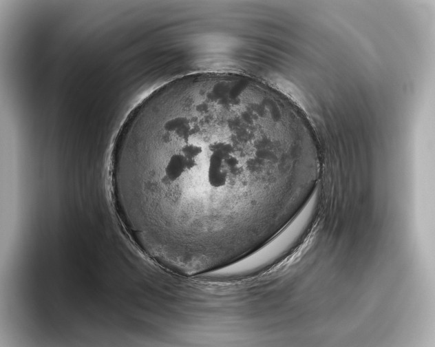 X0000096711071200802051416