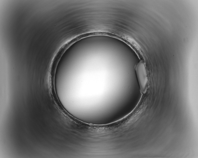 X0000096711072200802051416