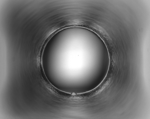 X0000096711073200802051416