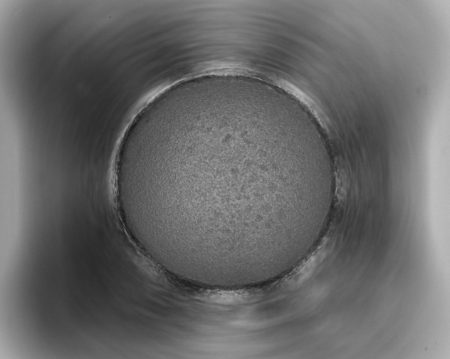 X0000096711074200802051416