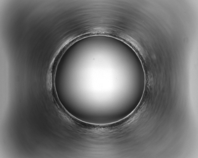 X0000096711075200802051416