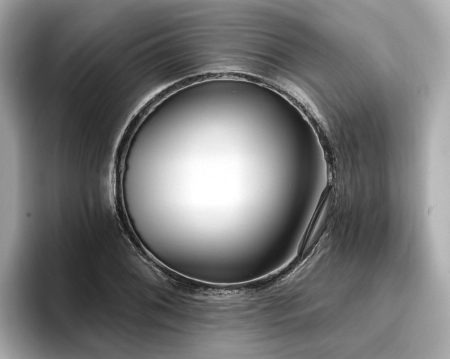 X0000096711076200802051416