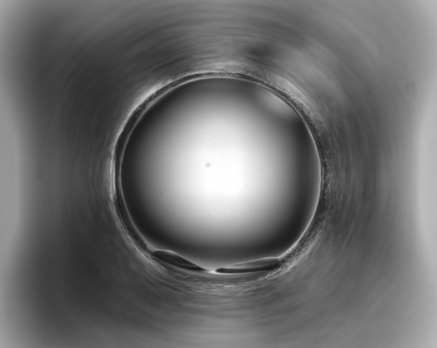 X0000096711079200802051416