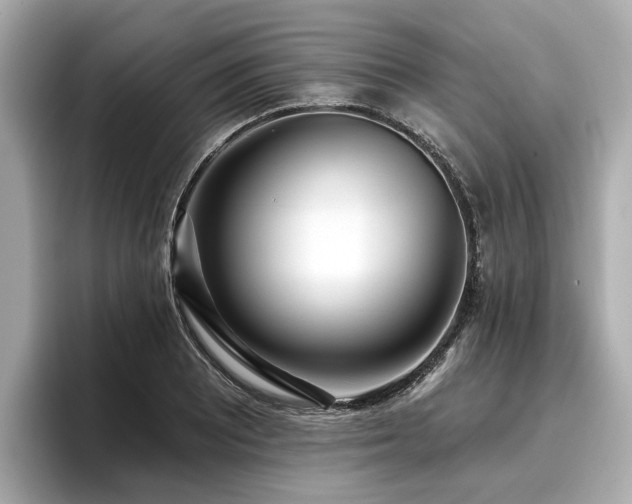 X0000096711081200802051416