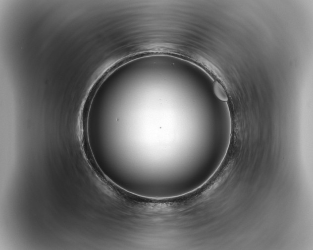 X0000096711082200802051416