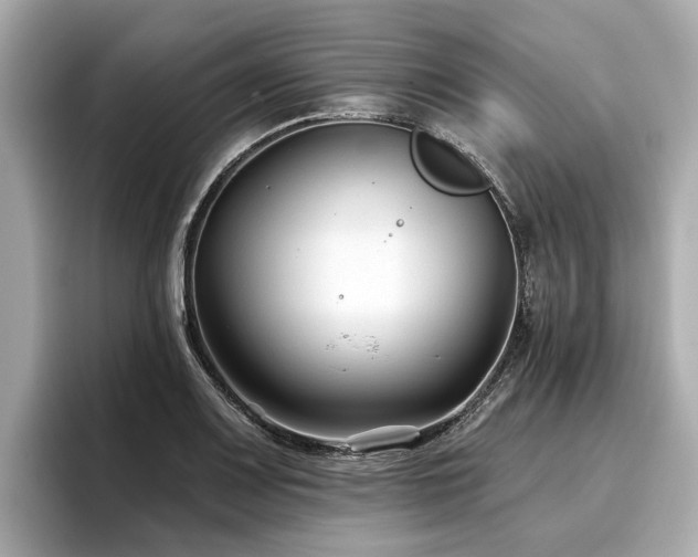 X0000096711083200802051416