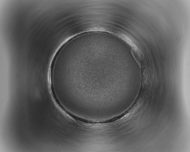 X0000096711084200802051416