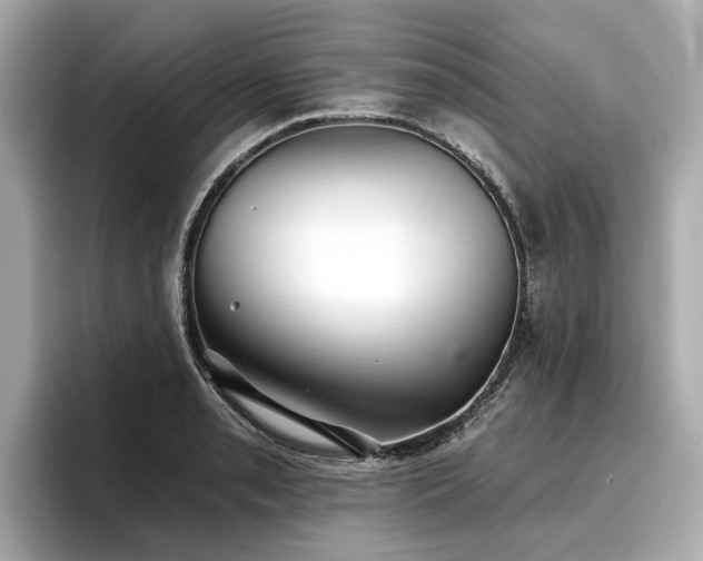 X0000096711085200802051416