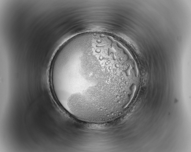 X0000096711086200802051416