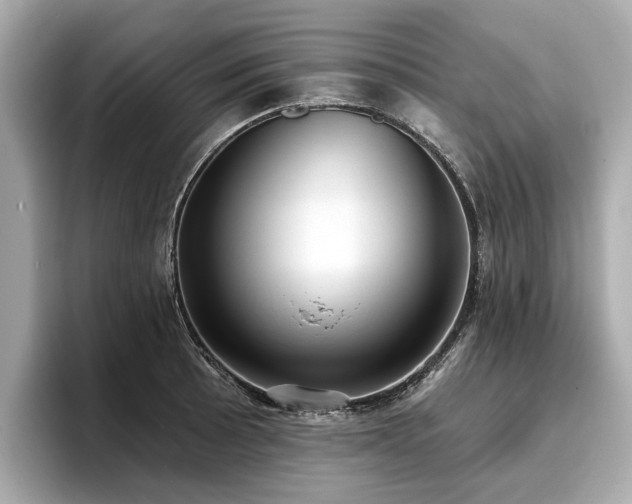 X0000096711089200802051416