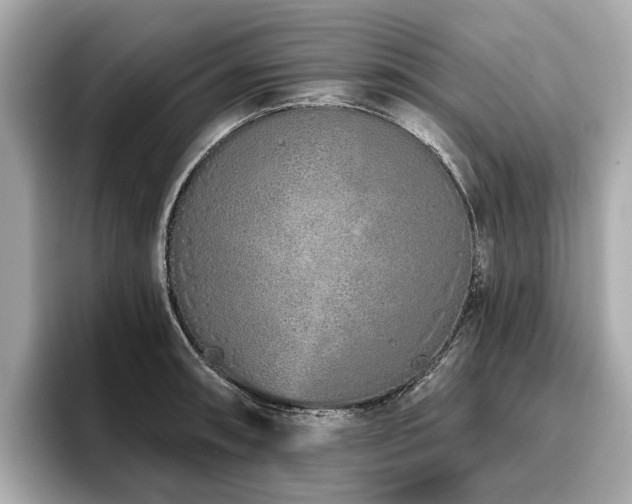 X0000096711090200802051416