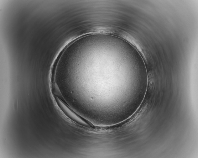 X0000096711091200802051416