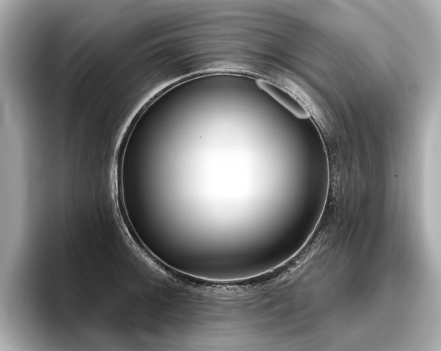 X0000096711092200802051416