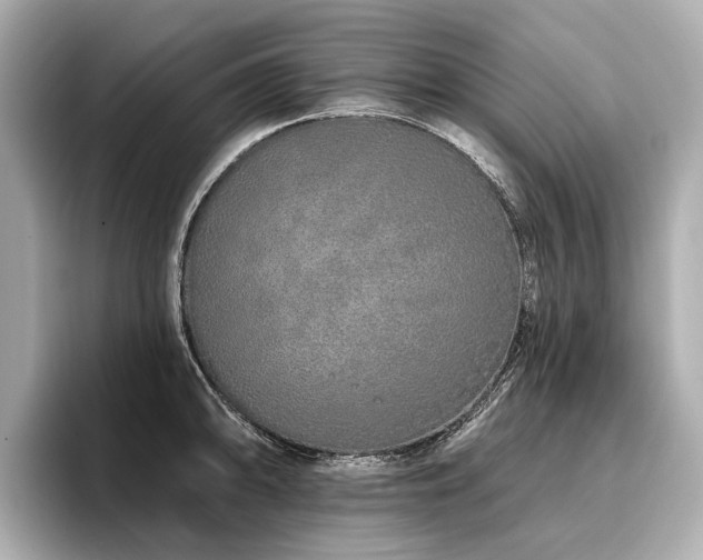 X0000096711094200802051416