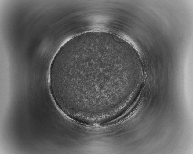 X0000096711095200802051416