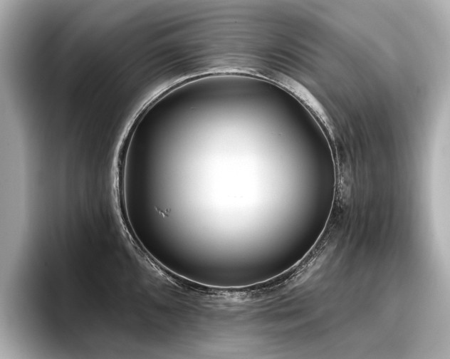 X0000096711096200802051416