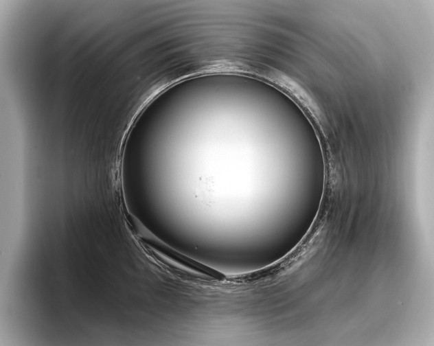 X0000096711097200802051416