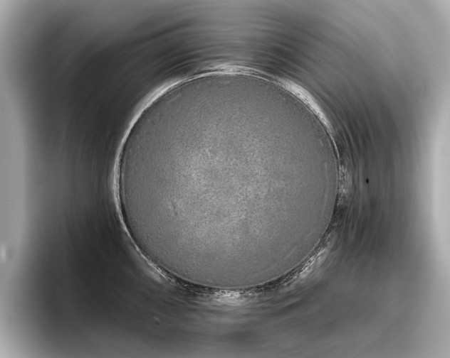 X0000096711098200802051416