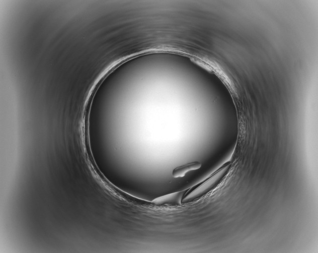 X0000096711100200802051416