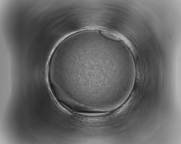 X0000096711102200802051416