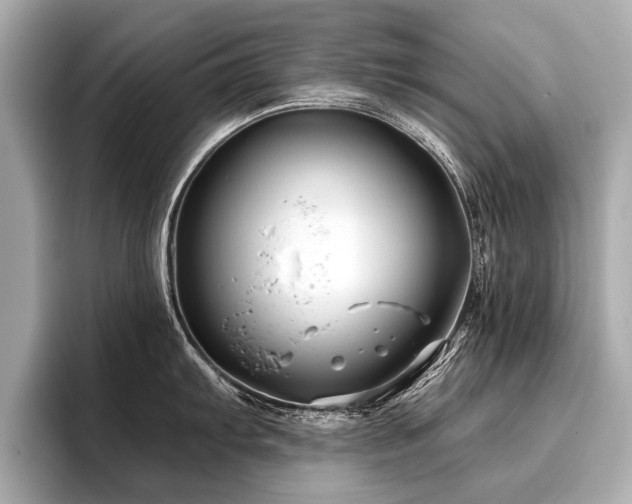 X0000096711103200802051416