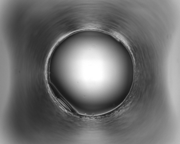 X0000096711104200802051416