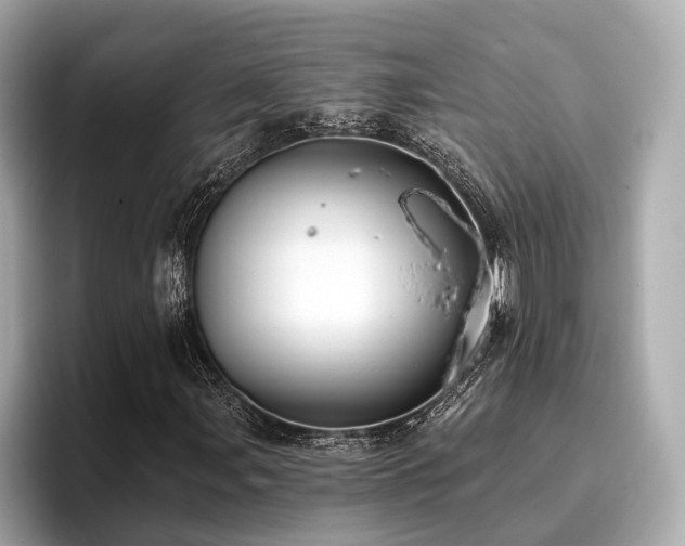 X0000096711107200802051415