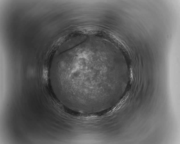 X0000096711108200802051415