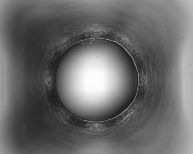 X0000096711109200802051415