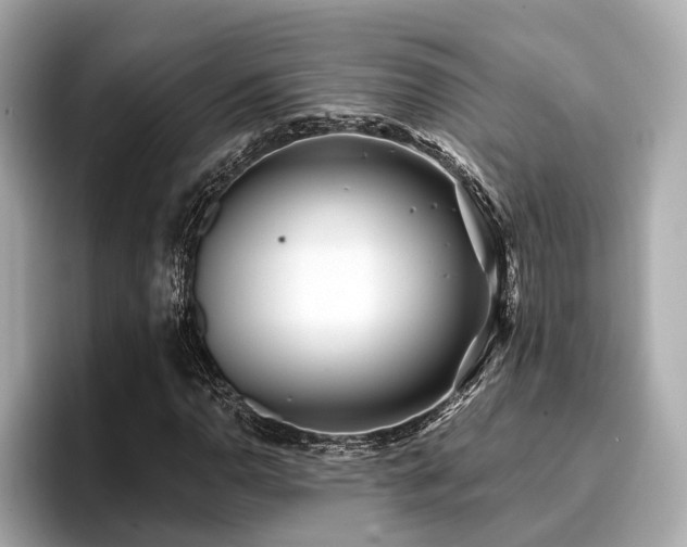 X0000096711110200802051415