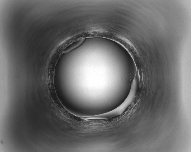 X0000096711112200802051415