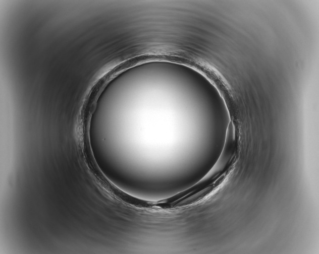 X0000096711114200802051415