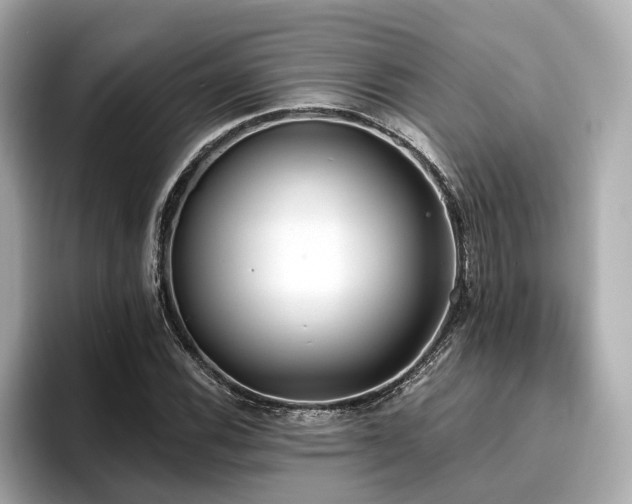 X0000096711116200802051415