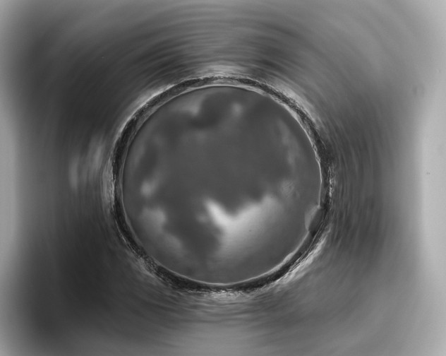 X0000096711117200802051415