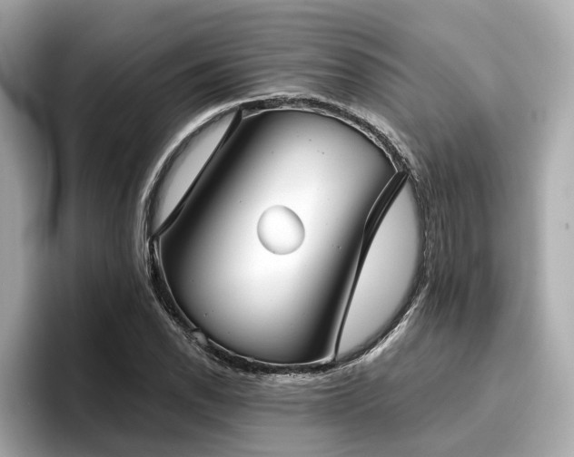 X0000096711118200802051415