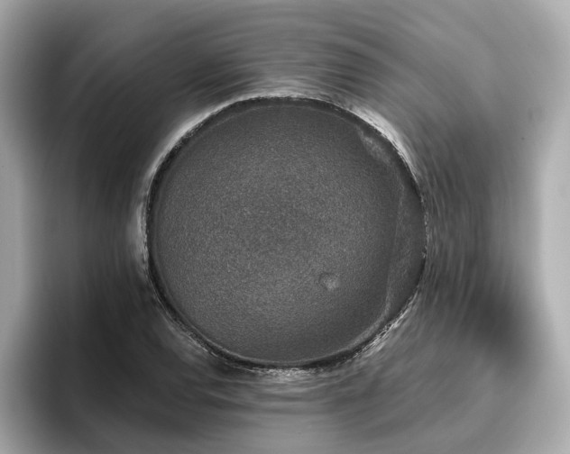 X0000096711120200802051415