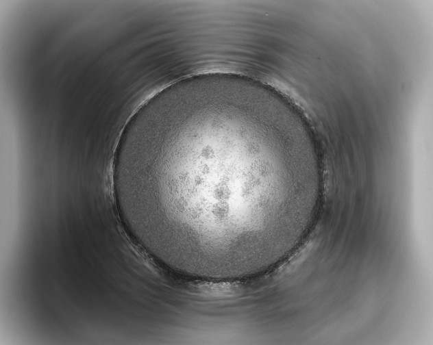 X0000096711121200802051415