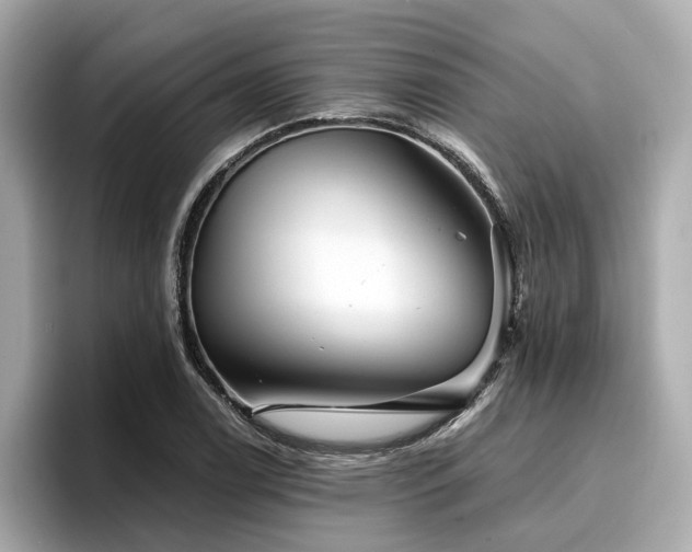 X0000096711122200802051415