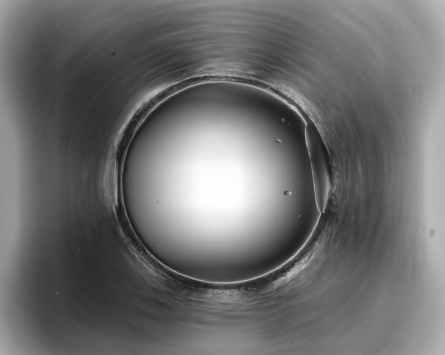 X0000096711123200802051415