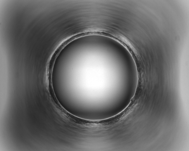 X0000096711124200802051415