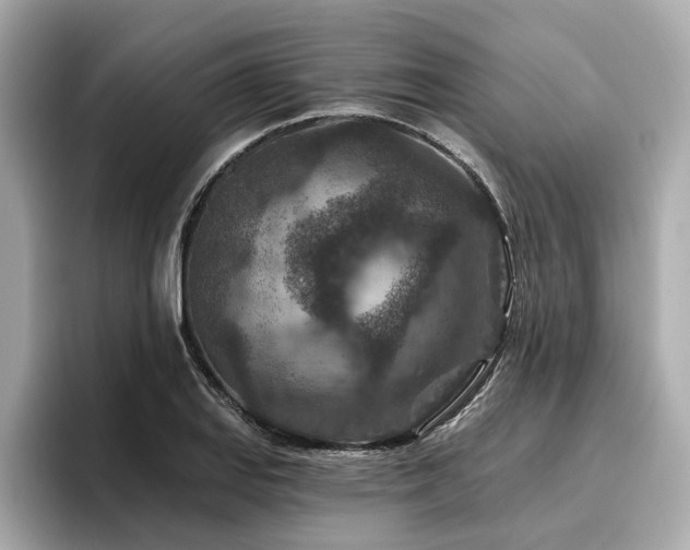 X0000096711127200802051415