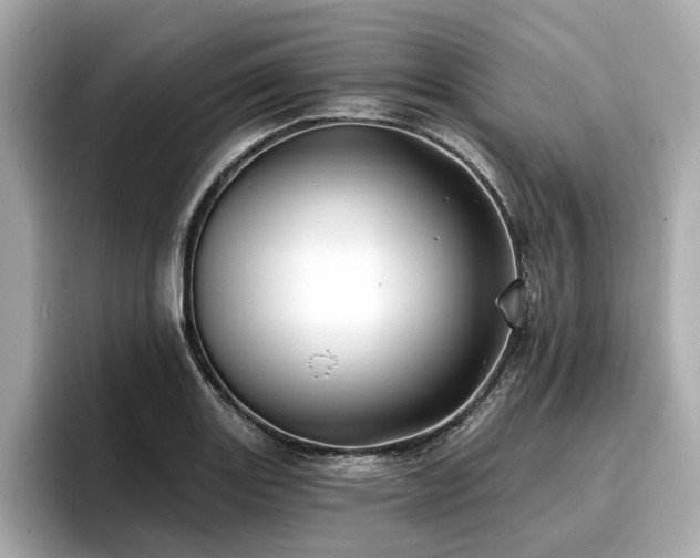 X0000096711131200802051415