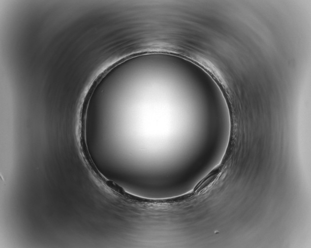 X0000096711136200802051415