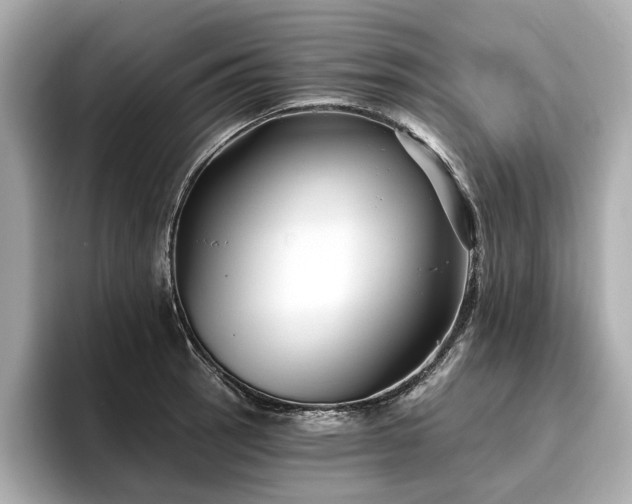 X0000096711137200802051415