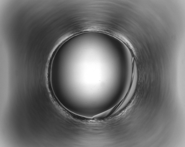 X0000096711138200802051415