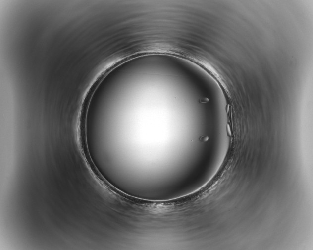 X0000096711139200802051415